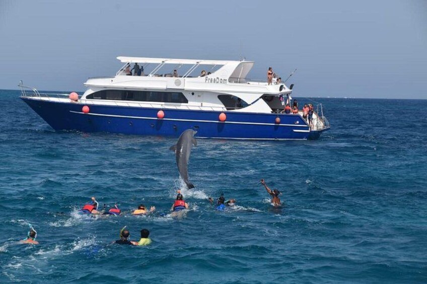 Un barco con gente a bordo y delfines saltando cerca del agua. 1