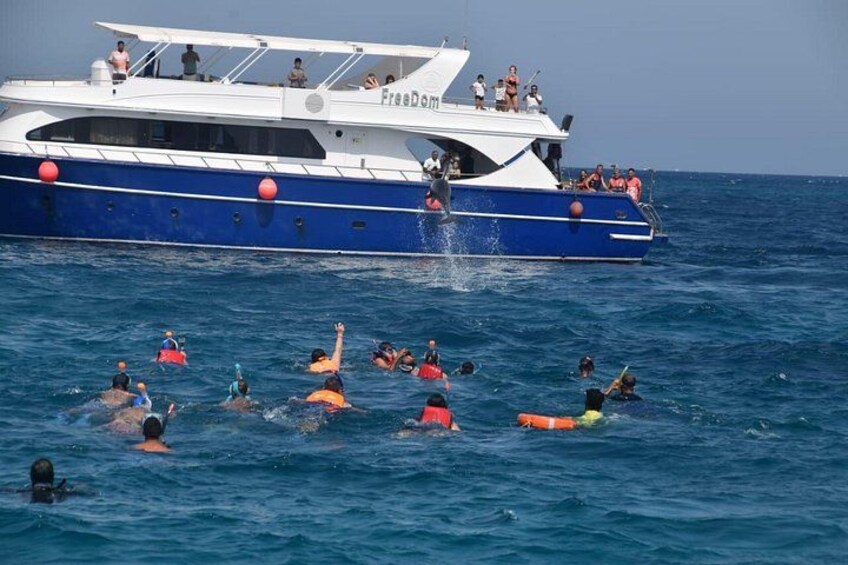 Dolphin House with lunch by Boat from Hurghada 5
