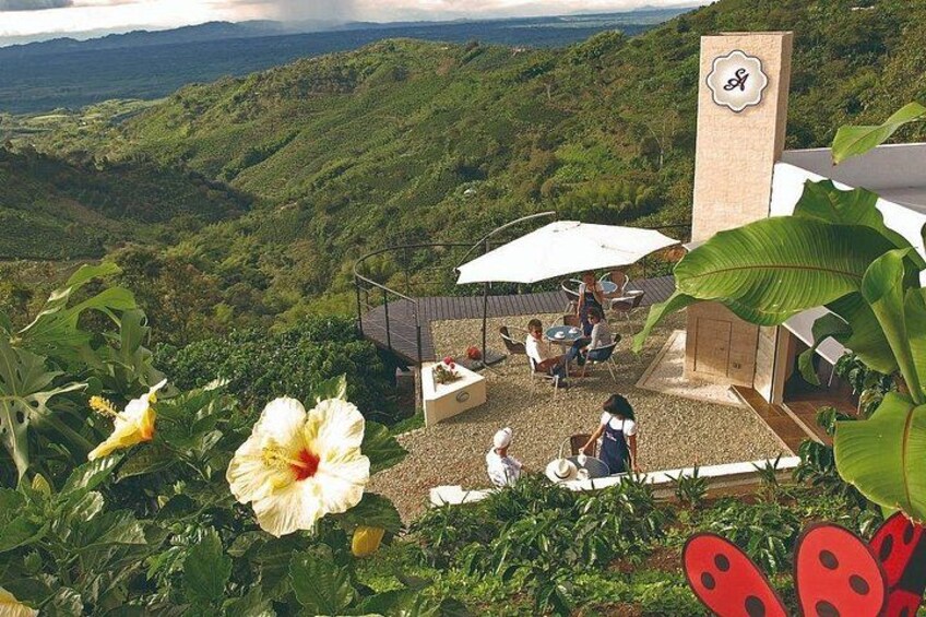 Premium Coffee Farm San Alberto 1