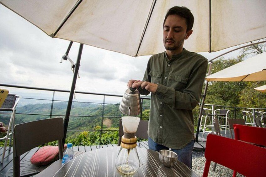Premium Coffee Farm San Alberto 3