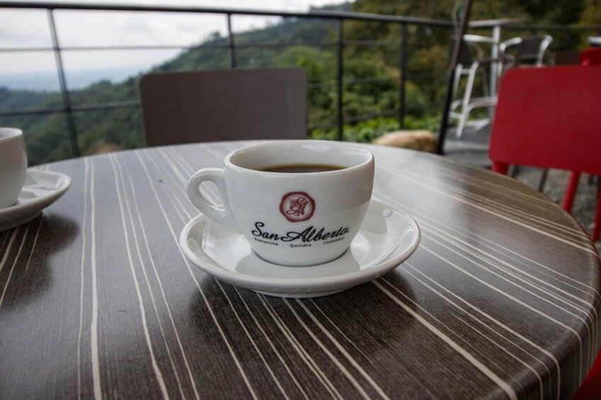 Premium Coffee Farm San Alberto 2