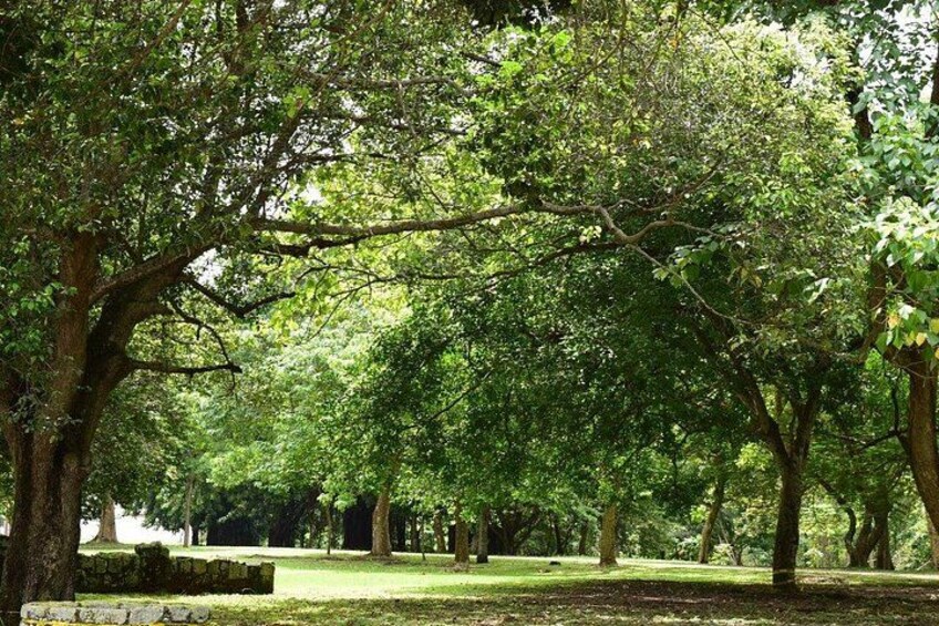Archaeological Site. Admission ticket to Panama La Vieja 4