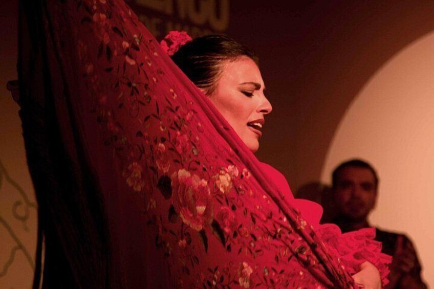 Centro Cultural Flamenco Madrid Admission Ticket 3