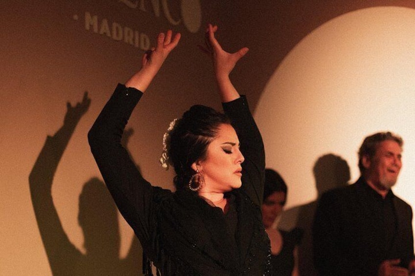 Centro Cultural Flamenco Madrid Admission Ticket 4