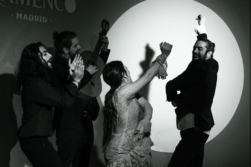 Centro Cultural Flamenco Madrid Admission Ticket 2