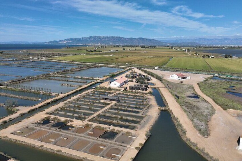 Skip the Line: MónNatura Delta de l'Ebre Entrance Ticket