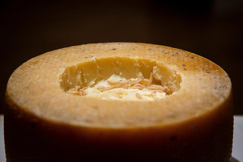 Casu Marzu, maggot cheese from Sardinia. 4