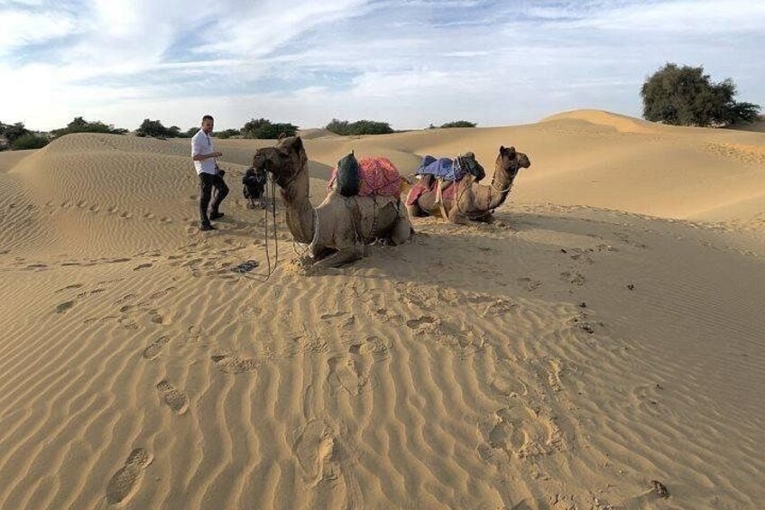 A desert landscape with sand dunes and camels. 2