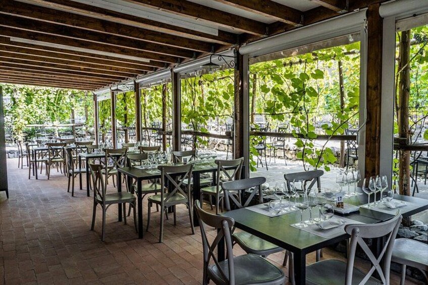 From Pompeii: Mount Vesuvius Wine Tasting and Lunch 3