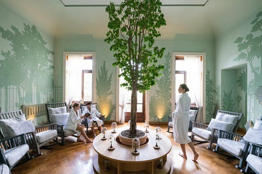A spa room with wooden flooring, a central round table, and a large tree. 4