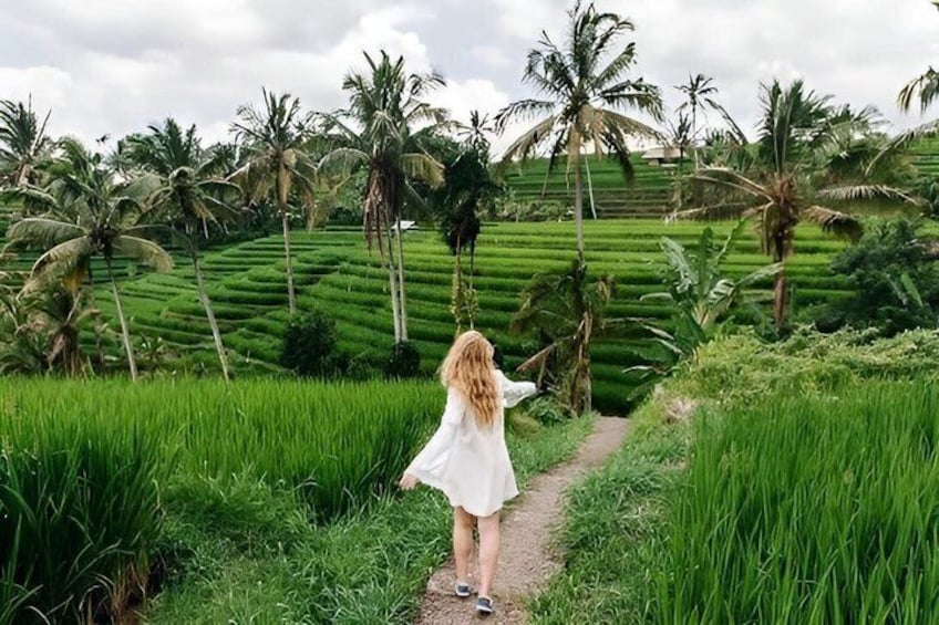 Tanah Lot and North Bali Tour: Scenic Journey 3