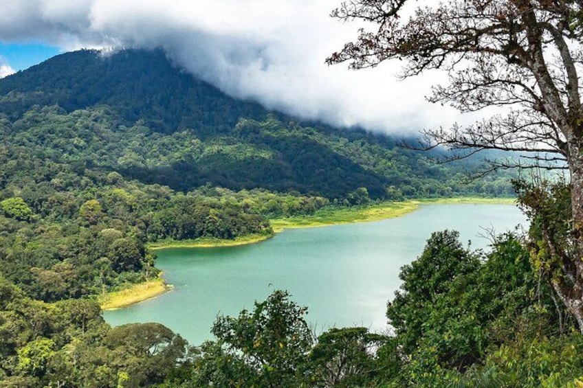 Un lago rodeado de un bosque denso y montañas. 3