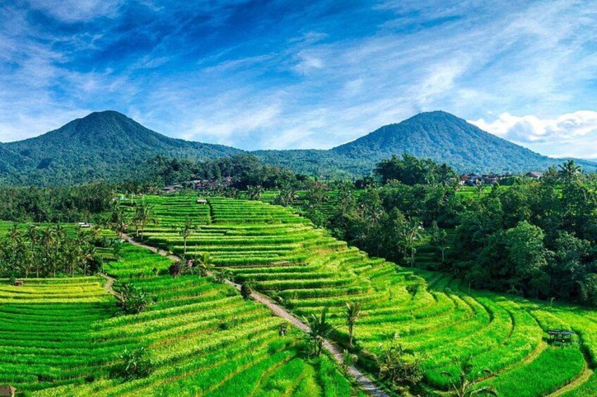 Terraced rice fields, a mountain, and a clear sky. 3