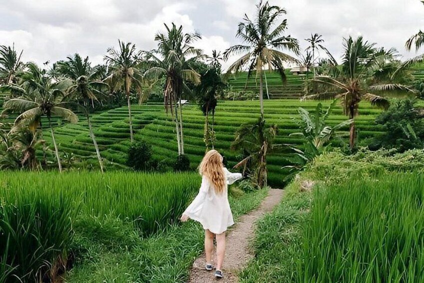 Tanah Lot and North Bali Tour: Scenic Journey 2