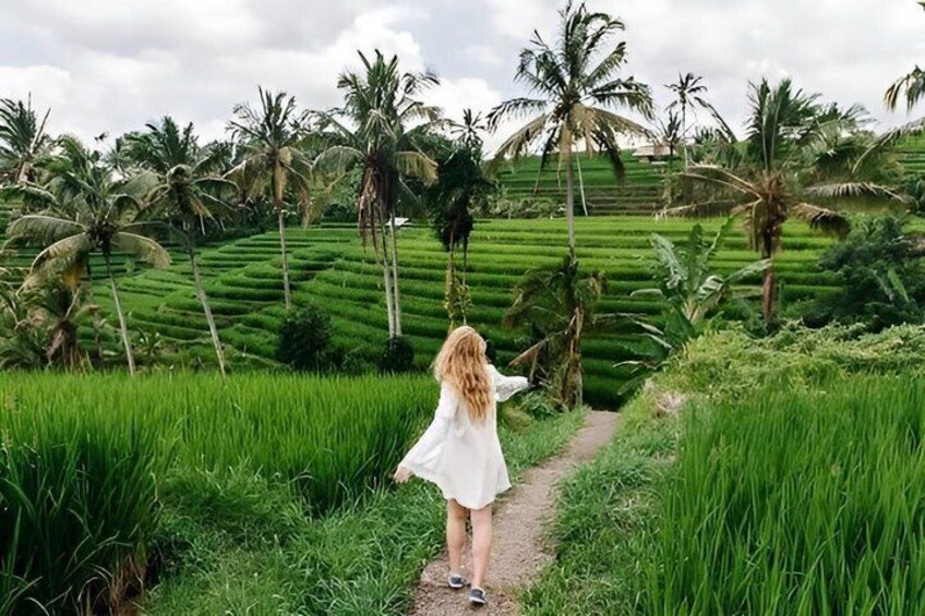 Tanah Lot and North Bali Tour: Scenic Journey 3