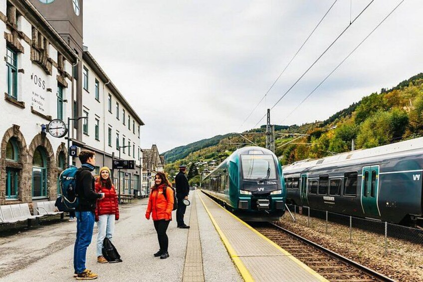 Self-Guided Full Day: Bergen To Oslo with 5-h Sognefjord cruise 2