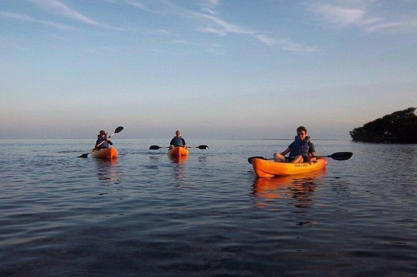 Explore Mangrove Creeks with an All Day SUP/single kayak Rental 3