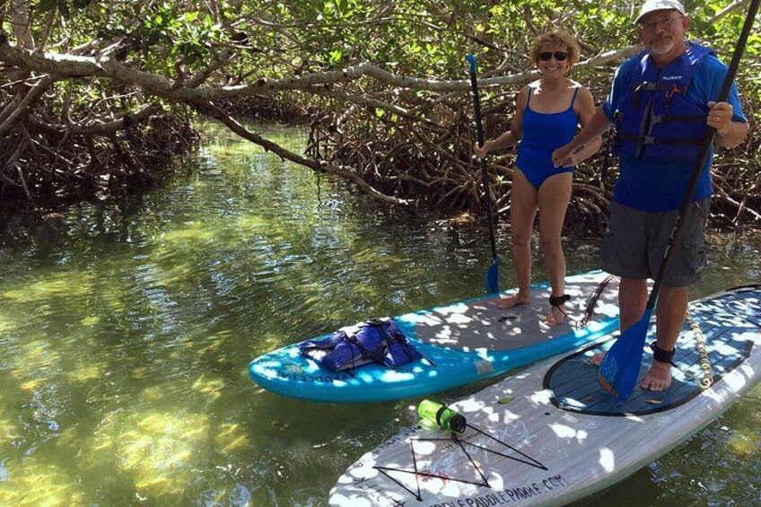 Two people paddleboarding in a mangrove area. 4