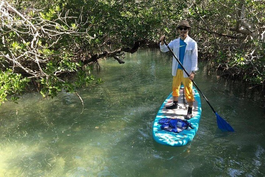 A person standing on a paddleboard in a mangrove area. 2