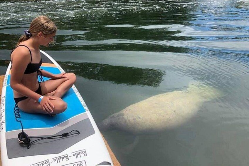 A person sitting on a boat with a white animal in the water. 5