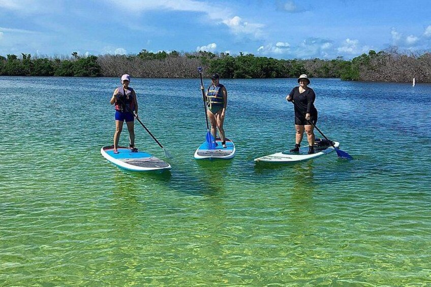 Three people paddleboarding on a calm body of water with clear water and a forested shoreline in the background. 3