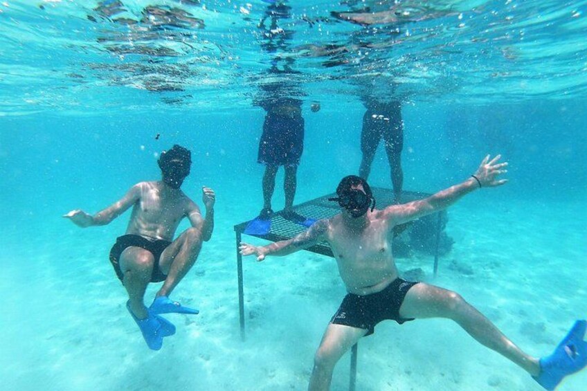 Snorkelling 2