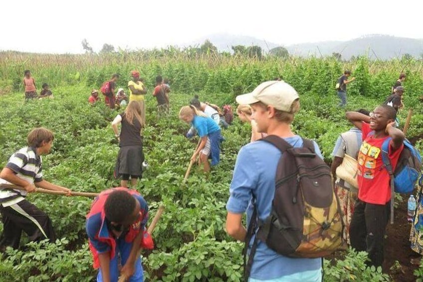 Agritourism 4