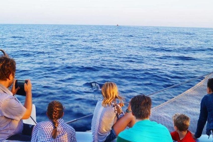 Un grupo de personas en un barco observando el océano. 4