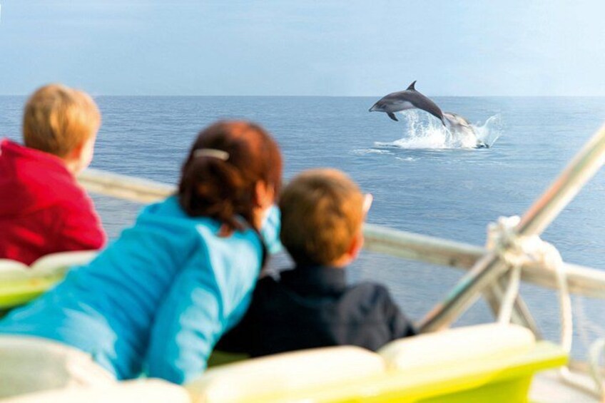 A dolphin jumping out of the water, people watching from a boat. 1