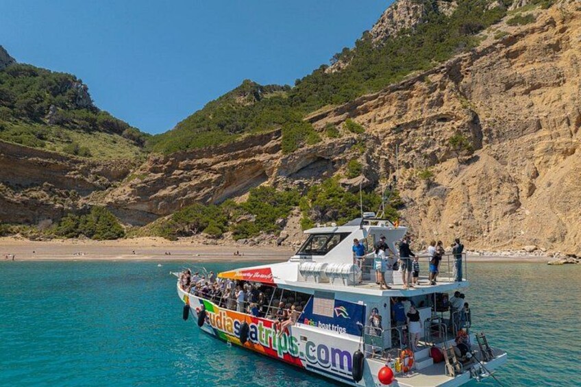Mallorca: Alcudia Dolphin Watching in a Fast Boat 5