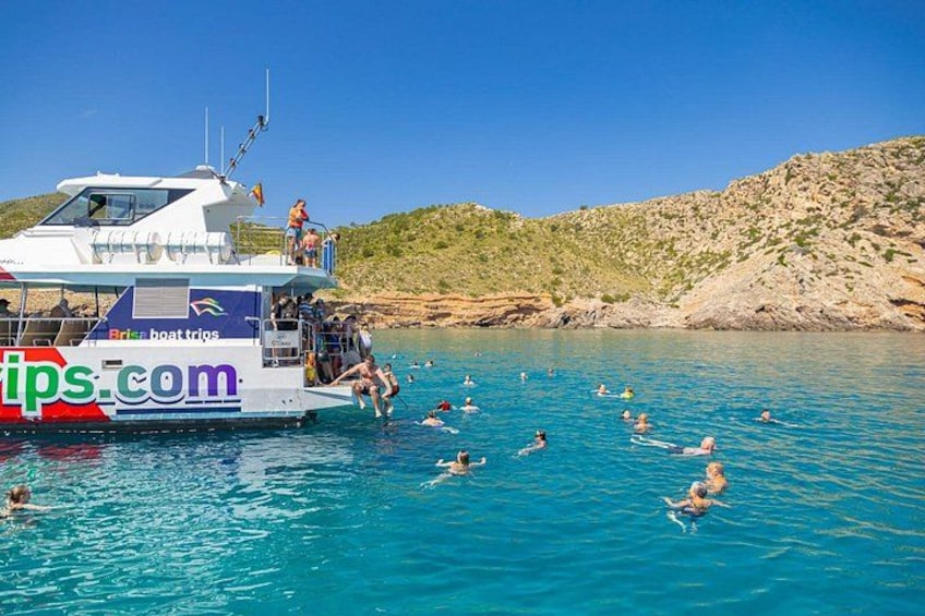 Mallorca: Alcudia Dolphin Watching in a Fast Boat 2