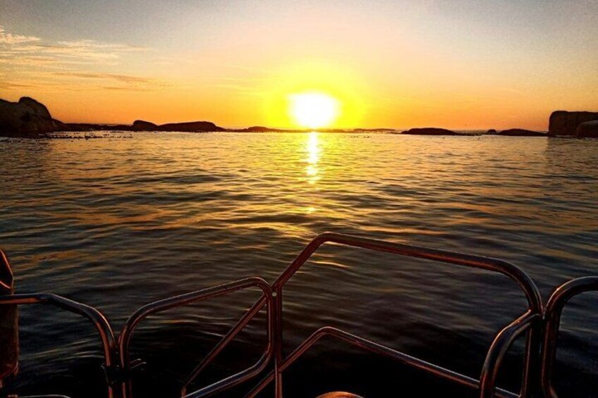 Sunset Champagne Cruise from Cape Town 5