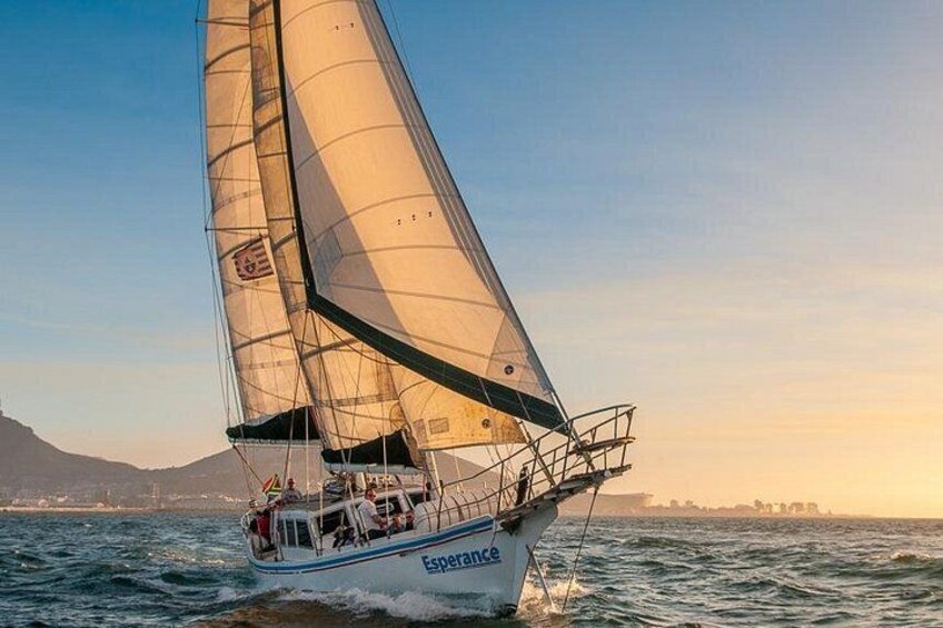 Sunset Cruise bliss 2