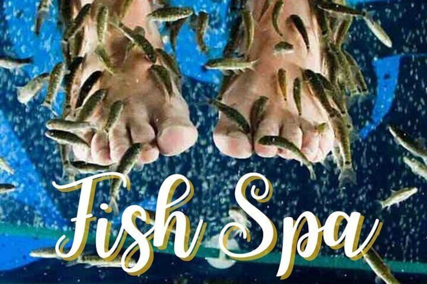A hand surrounded by fish, with the text "Fish Spa" visible. 5