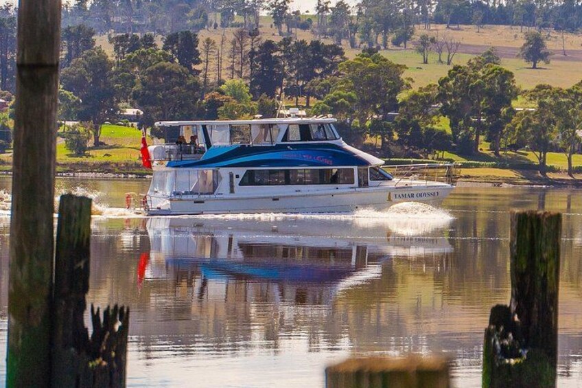 A boat named TAMAR OYSTER on a calm river with a grassy landscape in the background. 2