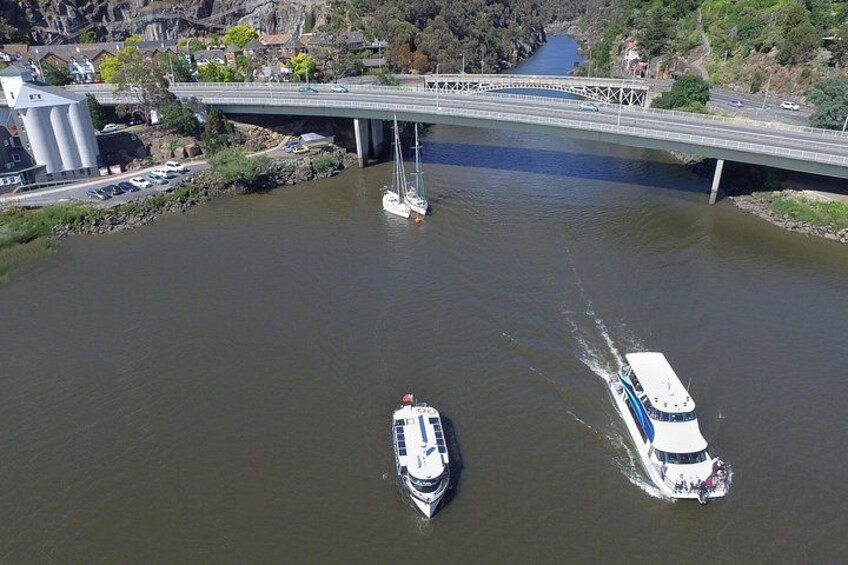 2.50 hour Afternoon Discovery Cruise including Cataract Gorge departing at 3 pm 3