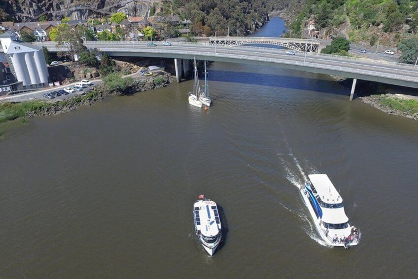2.50 hour Afternoon Discovery Cruise including Cataract Gorge departing at 3 pm 2