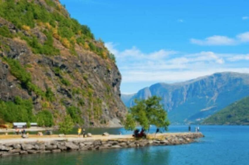A rocky shoreline with a clear blue lake, a small dock, and a tree. 2