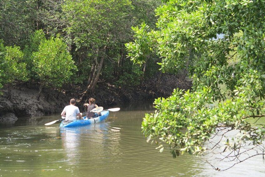 A blue kayak with two people paddling on a calm river surrounded by dense greenery. 3