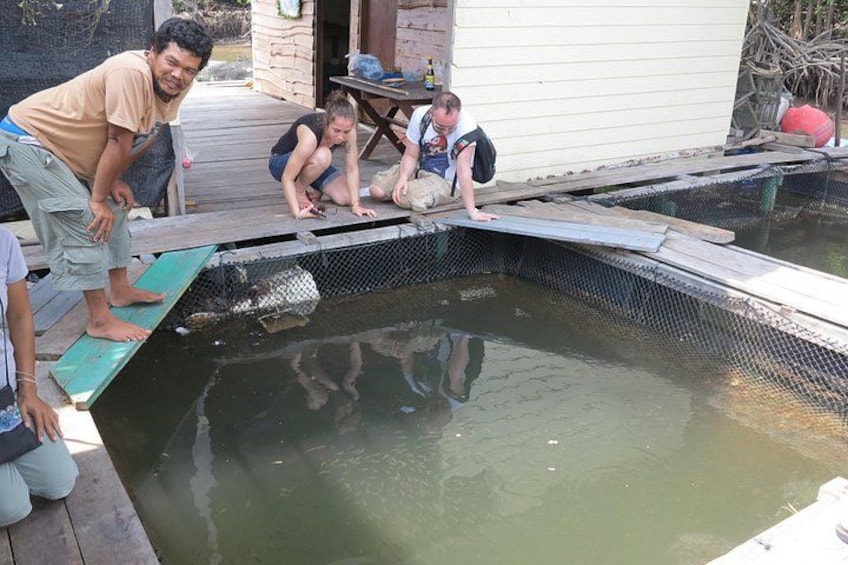 Une jetée en bois surplombe un étang à poissons, et des personnes s’y tiennent debout ou sont assises. 2