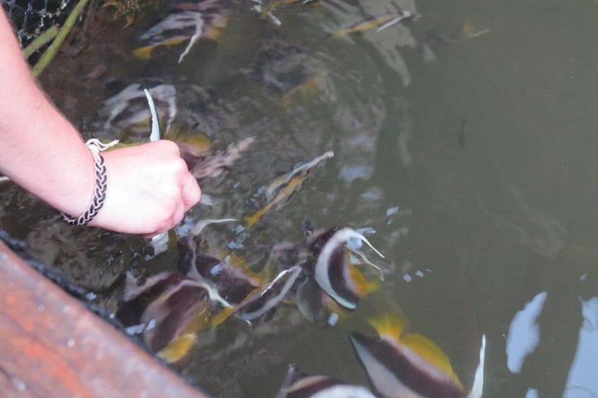 Une personne tient un poisson dans sa main, au-dessus d’une étendue d’eau. 3