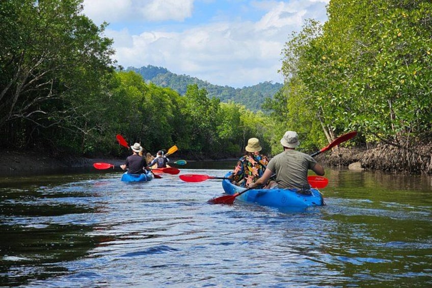 People kayaking on a river surrounded by lush greenery. 5