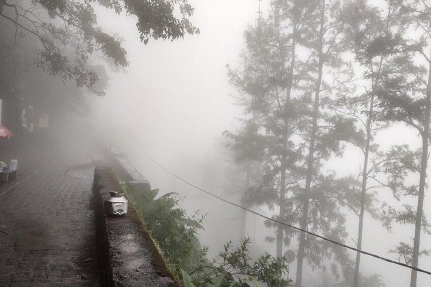 Sinhagad Fort Trip (Guided Half Day Sightseeing Tour) 4