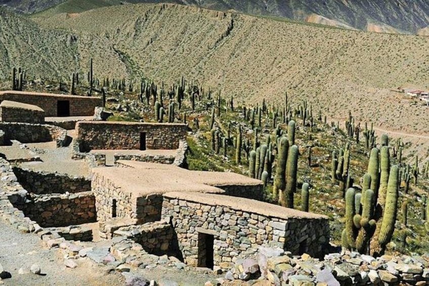 Ruinas de piedra antiguas en un paisaje desértico con cactus altos. 3