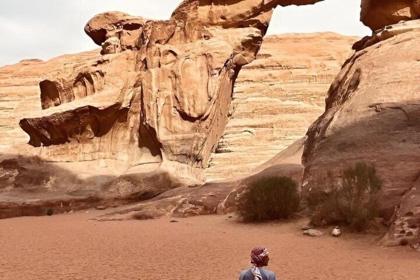 From Petra to Wadi Rum, then back to Amman or the airport. 5