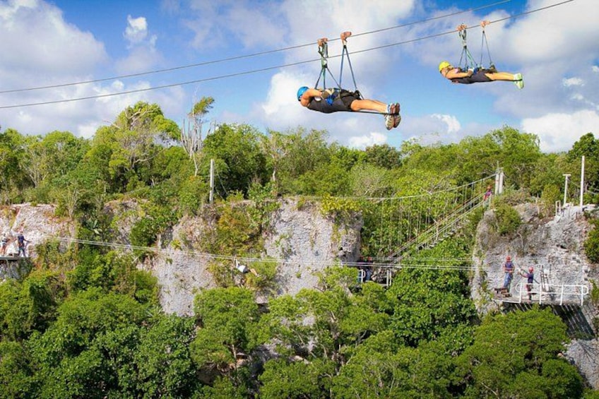 People ziplining over a forested cliff. 1