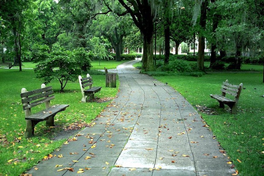 A park with a paved walkway, benches, and trees. 4