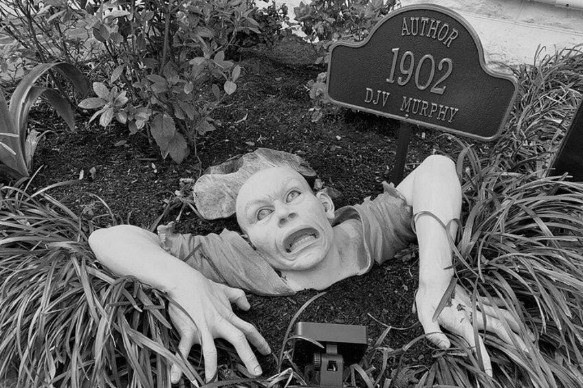 Spanish Moss Haunted Savannah Pub Crawl 5