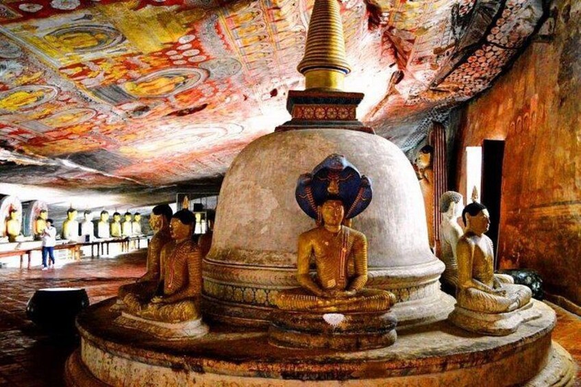 Sigiriya & Dambulla Private DayTrip frm Trincomalee-All Inclusive 4