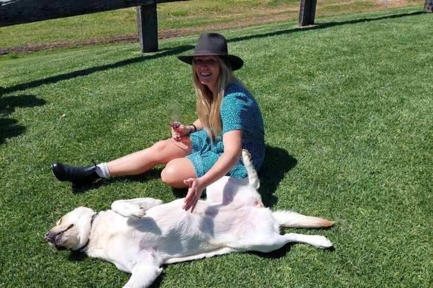 A person sitting on grass with a dog lying on its back. 1